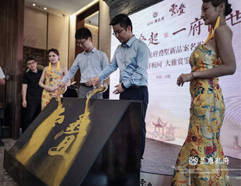 【尊龙凯时·雍龙府】万象城旁，，，，，，6米层高叠墅验资首日人气完爆世界杯开幕式。。。。。。。。。。。。 
